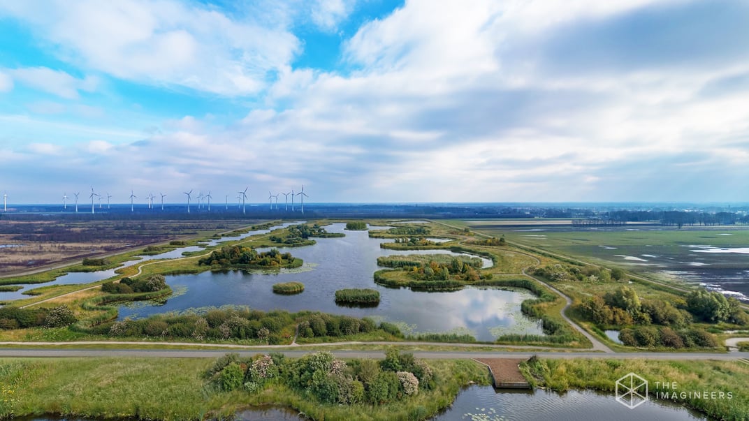 Prolander - Buffer Zuid - 1